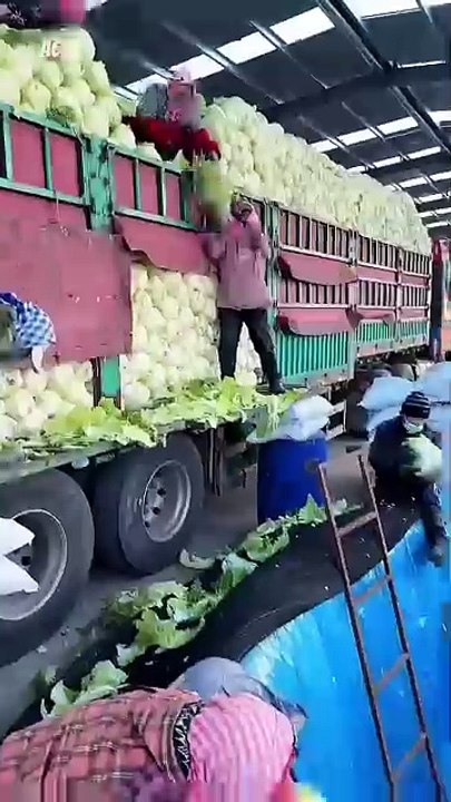 #viralvideo #trindings #youtubeshorts #shortvideo #urdupoetry #lslamic #tiktok #quotes #shafa#foryou