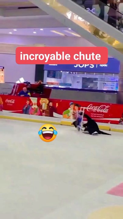 funny vidéo