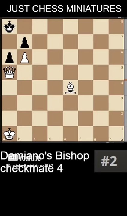 NN vs NN. Damiano's Bishop checkmate 4