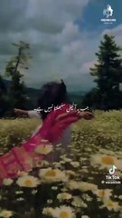 1000428439milli he ak ranga or heer jesi