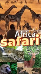 Serengeti Safari Wildlife Trip #sns895