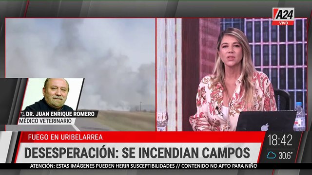 🚨BOMBEROS COMBATEN EL FUEGO EN URIBELARREA: RUTA 205 CORTADA