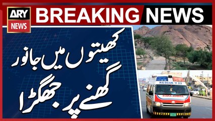 Sanghar: Dispute Over Animals in Fields Leads to Deaths of 3 People