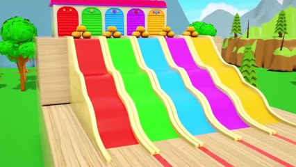 Baby Shark + Wheels On the Bus song - Soccer ball shaped wheels - Baby Nursery Rhymes & Kids Songs