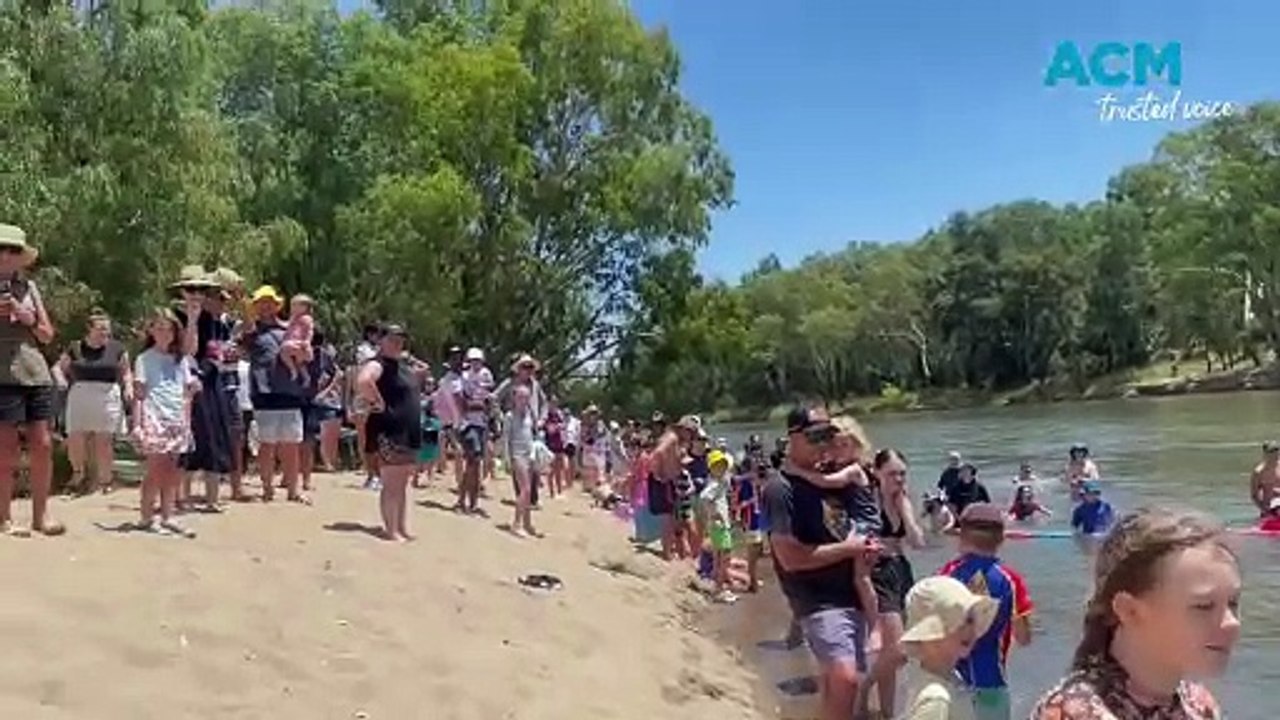 2025 Mighty Murrumbidgee Duck Race thrills Wagga crowd