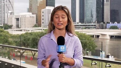 Dingoes bite two children on K’gari (Frazer Island) over long weekend