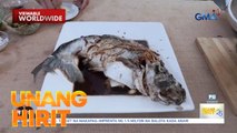 This is Eat— Prosperity Fish na Cream Dory! | Unang Hirit