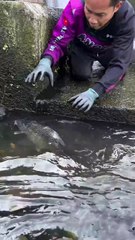 ,,,,,,,,,Man catch a fishes,,,,,,,,