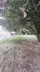 Nous méritons une relation qui nous apporte la tranquillité d'esprit #motivation