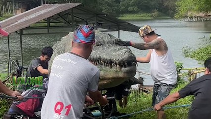 Lolong: Bayani ng Bayan: Nakita mo na ba si Dakila?