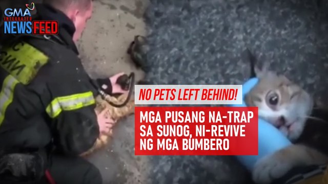No pets left behind! Mga pusang na-trap sa sunog, ni-revive ng mga bumbero | GMA Integrated Newsfeed