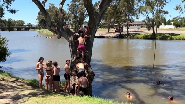 Victorians warned of heatwave with temperatures exceeding 40 degrees