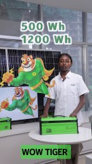 production video of wow tiger trading