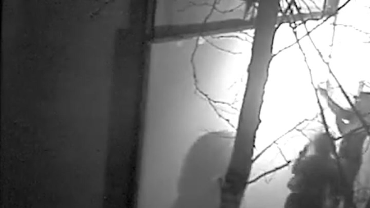 Thieves use explosives to blow up museum door and steal historical gold artefacts