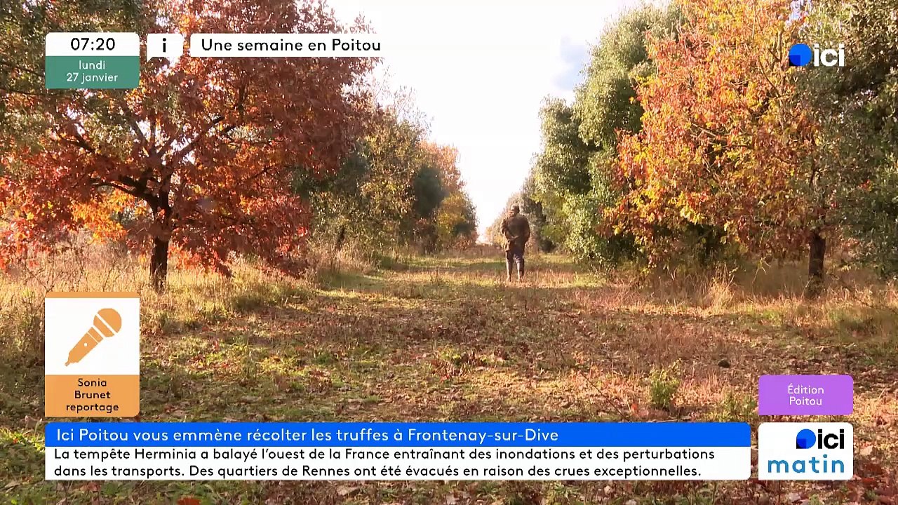 27/01/2025 - ici matin par ici Poitou en vidéo