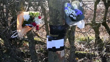 Bramley Lane West Bretton: Three teenagers dead and one critically injured after Seat Ibiza crashes into tree
