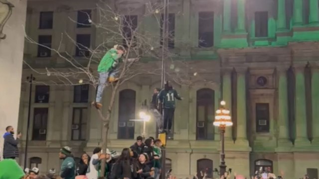 Eagles fans climb trees and vehicles during celebrations in Philadelphia