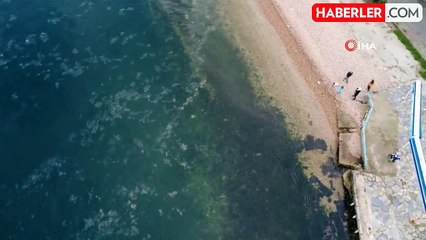 Adalar'da Müsilaj Tehdidi Yeniden Ortaya Çıktı