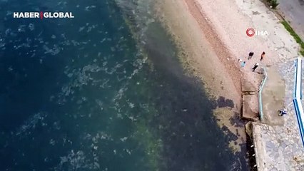 2021'de Marmara'yı esir almıştı: Müsilaj yeniden yüzeyde