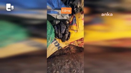 Edirne'de yavru köpekler poşet içinde çöpe atıldı 2 gözaltı