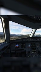 Perfect Cockpit Perspective Landing of Uzbekistan Airways A320neo at Tampa International Airport (KTPA), Tampa, United States