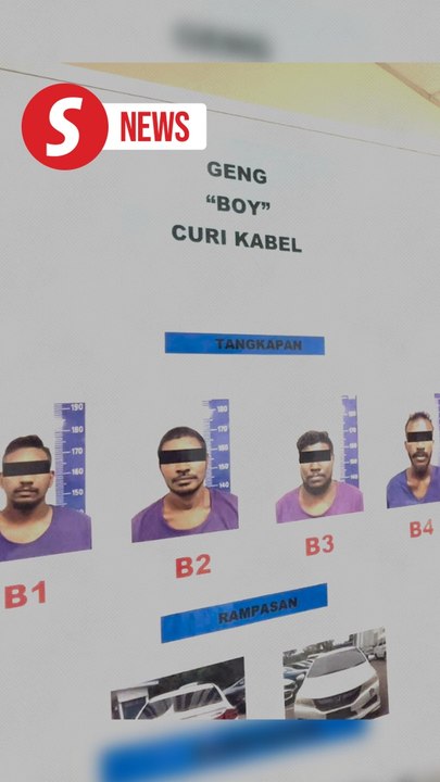 Yes boy, you're busted: 'Geng Boy' cable thieves nabbed in JB
