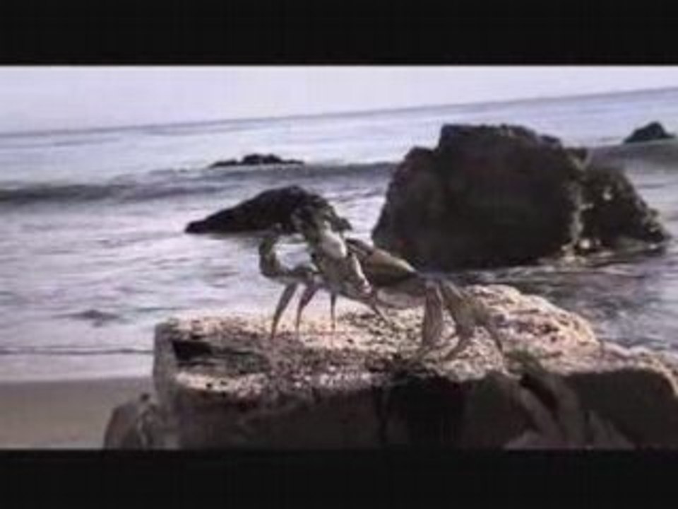 Faunts_M4_Part_2_QT