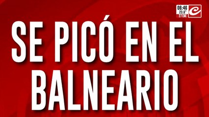 Se picó en el balneario: turistas y empleados a las piñas limpias