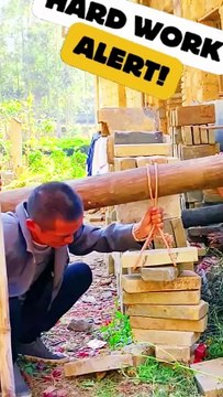 🤣🤪 ऐसी छप्पर फाड मेहनत... funny video, comedy videos, laughter, short video, reels, memes, jokes o