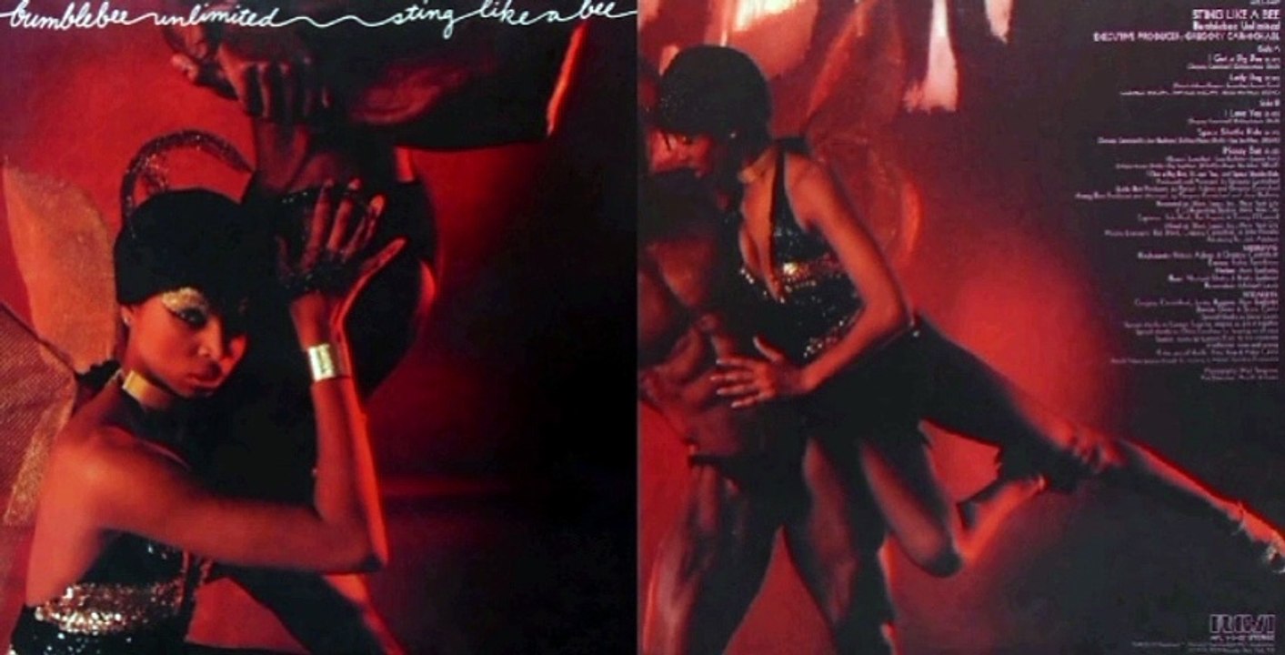 Bumblebee Unlimited – Sting Like A Bee (1979) Full Album