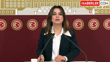 DEM Parti Grup Başkanvekili Koçyiğit'ten Kürt Sorunu İçin Tarihi Fırsat Vurgusu