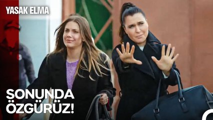 İki Gündü Ama İki Sene Gibi Geçti... - Yasak Elma 92. Bölüm