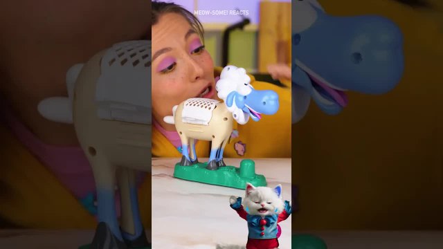 ASRM Fruit Crushing 😻 With this Food Gadget #gadgets #revers