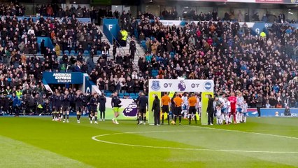 Fan Cam: Brighton vs Everton – Exclusive Insights from the Stands ⚽
