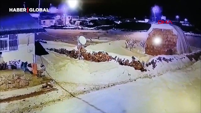 Sürüye karşı tek başına: Çoban köpeğinin mücadelesi kamerada