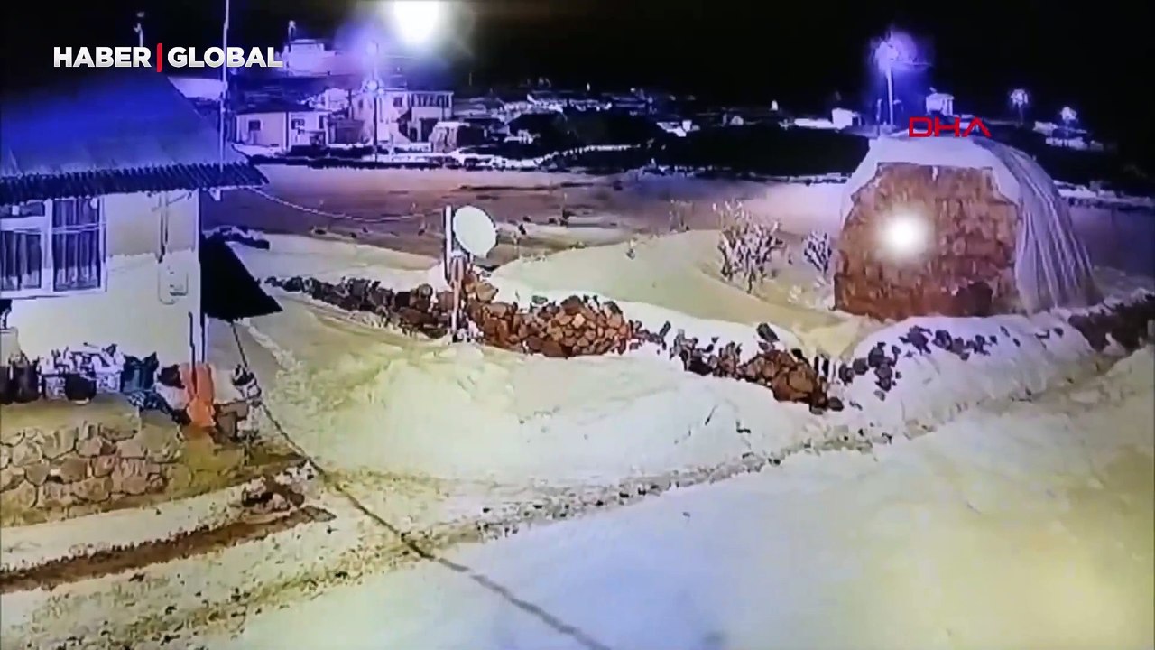 Sürüye karşı tek başına: Çoban köpeğinin mücadelesi kamerada