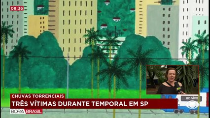 Poderia ter sido evitada, diz amiga sobre morte de artista após temporal em SP