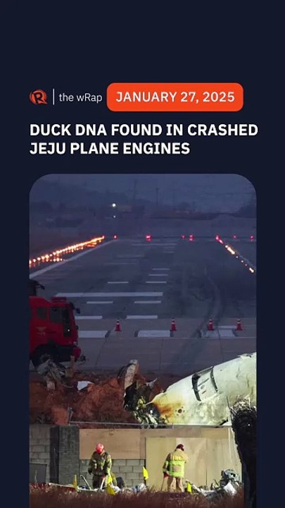 Duck DNA in both engines of Jeju Air plane that crashed, report says