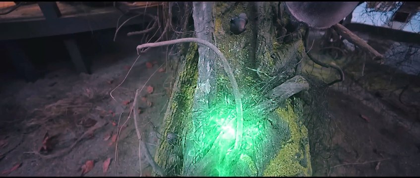 HOA BỈ NGẠN _ Siêu Phẩm Cổ Trang Hành Động Võ Thuật Hấp Dẫn Nhất _ PHIM LẺ THUYẾT MINH 2024