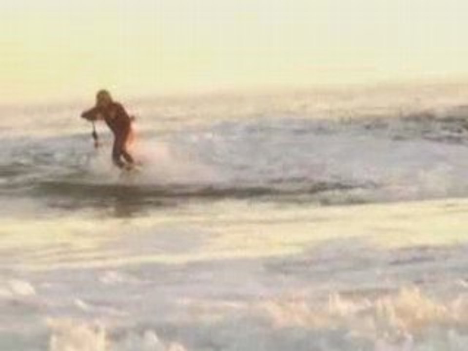 Shark Surfer