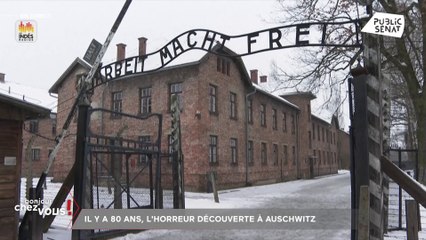Il y a 80 ans, l'horreur découverte à Auschwitz