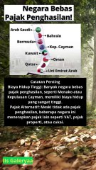 Berikut adalah daftar negara bebas pajak penghasilan untuk individu