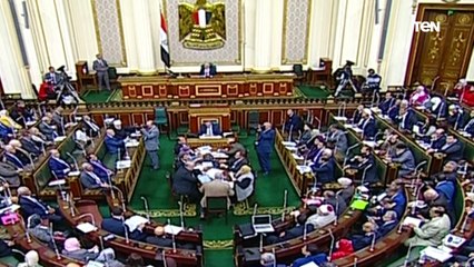 أعضاء مجلس النواب: مصر ترفض بشكل قاطع أي محاولات لتوطين الفلسطينيين خارج أراضيهم