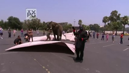 Magic's Biggest Secrets