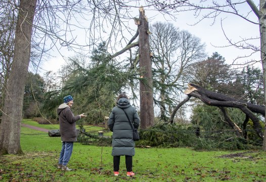 Royal Botanic Gardens Edinburgh has launched a Storm Damage Recovery Fund