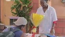 Conversa no Quintal - Escola III