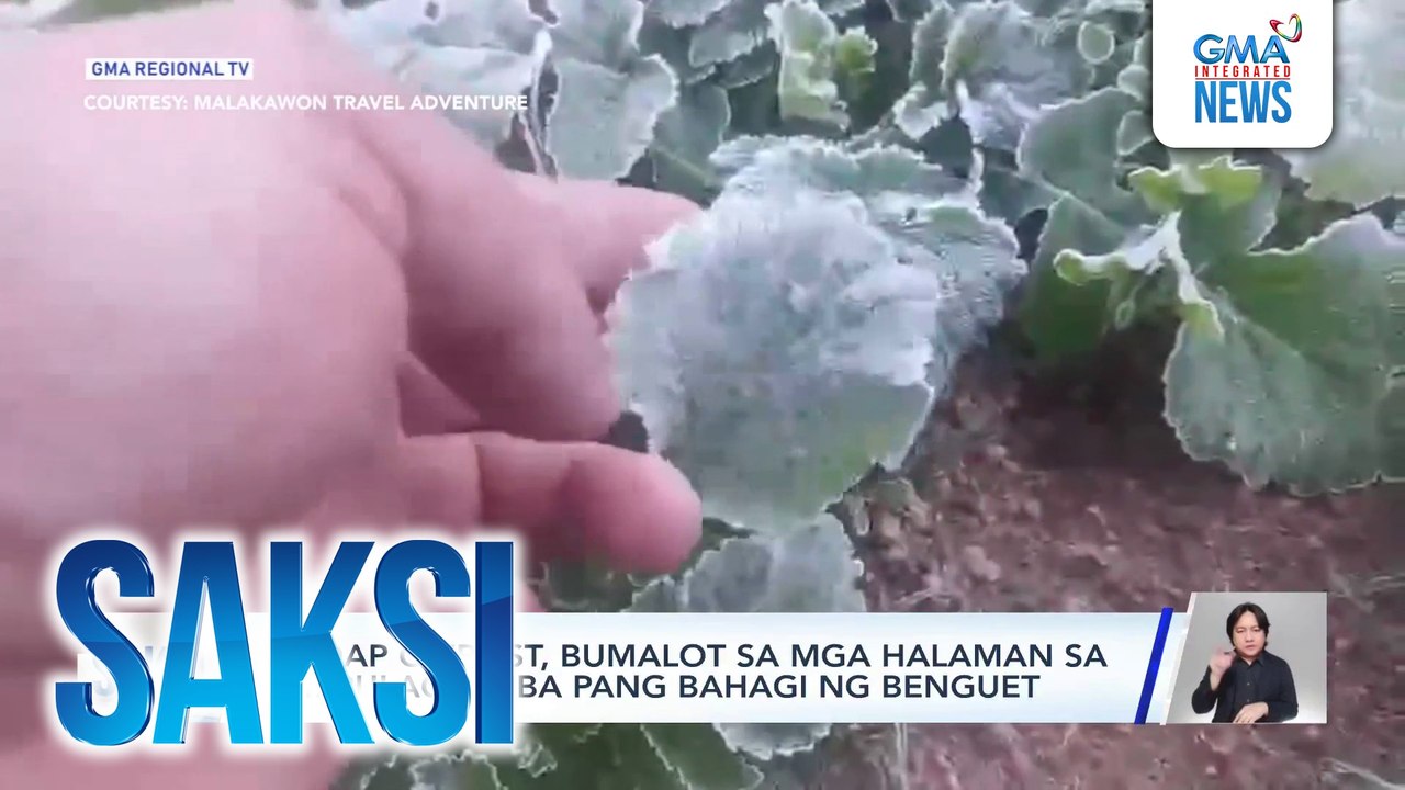 Andap o frost, bumalot sa mga halaman sa Mt. Pulag at iba pang bahagi ng Benguet | Saksi