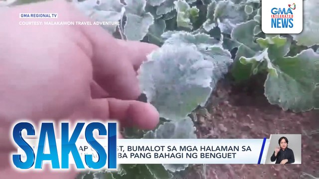 Andap o frost, bumalot sa mga halaman sa Mt. Pulag at iba pang bahagi ng Benguet | Saksi