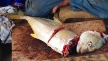 How to Cut Leatherjacket Fish at Indian Fish Market