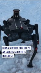 China's robot dog helps Antarctic scientific research